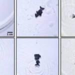 Kendisini iyileştirebilen robot geliştirildi