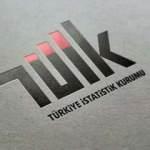 TÜİK Başkanlığı'na Sait Erdal Dinçer atandı