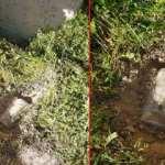 Bombalı eylem hazırlığındaki terörist Şanlıurfa'da yakalandı