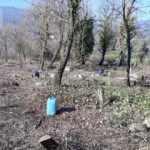 İş&ccedil;ilerin dikkati şehit mezarını g&uuml;n y&uuml;z&uuml;ne &ccedil;ıkardı