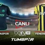 Konyaspor Fenerbahçe maçı canlı izle! | BeIN Sports Konya FB maçı canlı skor takip