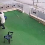 Hamile kediye önce vurdu, hırsını alamadı elindeki çantayı fırlattı