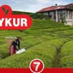 ÇAYKUR 500 personel alımı devam ediyor!