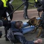 Hollanda'da polislerden göstericilere çok sert müdahale