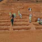 Libya'da Hafter'in kontrolündeki Bingazi'de kimliği belirsiz 11 ceset bulundu