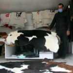 Mesleğinin kentteki son temsilcisi &ccedil;ırak bulamıyor