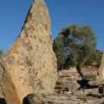 Adnan Menderes &Uuml;niversitesi Arkeoloji B&ouml;l&uuml;m&uuml; &ccedil;alışmaları b&ouml;lge tarihini g&uuml;n y&uuml;z&uuml;ne &ccedil;ıkartıyor