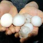 Ceviz büyüklüğündeki dolu hastanelik etti