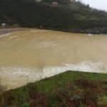 Deniz sarıya boyandı, yağmur ve sis etkili oldu