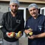 Evinin bahçesinde yetiştiriyor! Tanesini 80 TL'den satıyor...