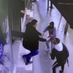 Film sahnelerini aratmayan pompalı t&uuml;fekli kovalamaca kamerada