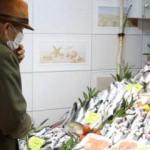 'Müsilaj' balık fiyatlarını arttırdı