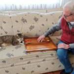 Tavlacı kedi sosyal medya fenomeni oldu