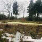 Yalova&rsquo;da kayıp TIR şof&ouml;r&uuml;n&uuml;n cansız bedeni bulundu