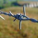 Yunanistan'a kaçmaya çalışan FETÖ'cüler yakalandı