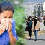 Baharda polen tehlikesi! Bağışıklığı düşürüyor, koronavirüsü tetikliyor