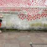 İngiltere'de Kovid-19 kayıplarını anma duvarı kırmızı kalplerle doldu