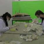 Dünyada tek olan 7,5 milyon yıllık fosil Kayseri'de bulundu!