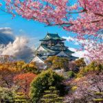 Dünyanın dört bir yanından en güzel Japon bahçeleri