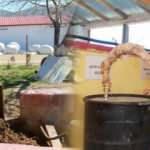 Ispartalı kadın girişimci tezekten biyogaz üretiyor!