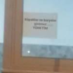 Site yöneticisinden skandal yazı! Tepki gösterdiler