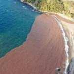Zonguldak'ta denizin rengi çamura döndü