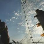 Balıkçılık av sezonu yasağı bu gece başlıyor