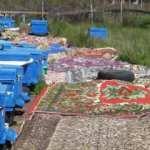 Balıkesir'de ballar para edince, arıcı kovanların önüne halı serdi