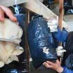 Askerlik yaparken gördü, hobi olarak başladı! Taleplere yetişemiyor