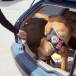 Narkotik köpeği 'Lucky', 5 bin adet uyuşturucu hap buldu