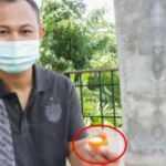 Tayland'da polis memurunun pazardan aldığı deniz ürünü hayatını değiştirdi!