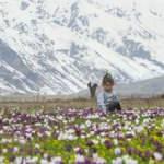 Tunceli'nin ovaları kardelen, nergis ve düğün çiçekleriyle rengarenk oldu!