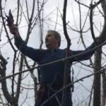 BBP Genel Başkanı Destici hafta sonu kısıtlamasında ağaç budadı