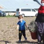 Bolu’da üreten kadınların hedefi 'lavanta'