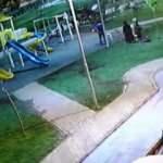 &Ccedil;ocukların &uuml;zerine &ccedil;ıktığı kamelyanın &ccedil;&ouml;kme anı kamerada