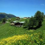 Koronavirüs görülmeyen yayla: Petran 