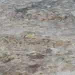 Marmara Denizi beyaza büründü