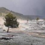 Adana'da ceviz b&uuml;y&uuml;kl&uuml;ğ&uuml;nde dolu yağdı