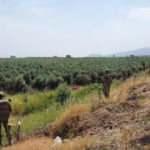 Askerleri taşıyan minibüs devrildi: 3 yaralı