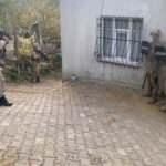 Bitlis merkezli PKK operasyonu: 9 gözaltı