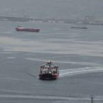 İzmit Körfezi'nde deniz salyasıyla mücadele sürüyor