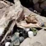 Pençe-Şimşek ve Pençe-Yıldırım operasyonlarından yeni görüntüler!