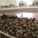 Paris Savcılığı, Ruanda Soykırımı'yla ilgili su&ccedil;lamaların reddini istedi