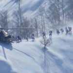 Son dakika: TSK ve MİT'ten Kuzey Irak'ta nefes kesen operasyon! 