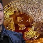 Elon Musk: Tesla hiç Bitcoin satmadı