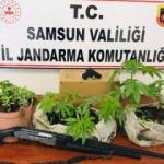 Jandarmadan &lsquo;kenevir&rsquo; baskını