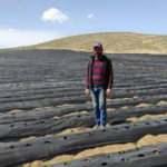 Kahramanmaraş'ta ot bitmeyen tarlalarda üretim yapıyor
