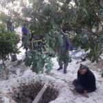 Adana'dan acı haber: 3 kişi kuyuda hayatını kaybetti