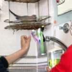 Evlerinin banyosunu bir &ccedil;ift kumruyla paylaşıyorlar