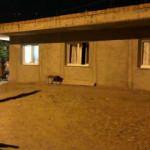 Kardeşlerin oda kavgası kanlı bitti